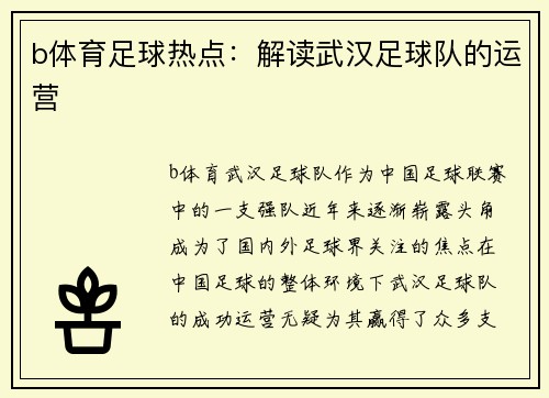 b体育足球热点：解读武汉足球队的运营